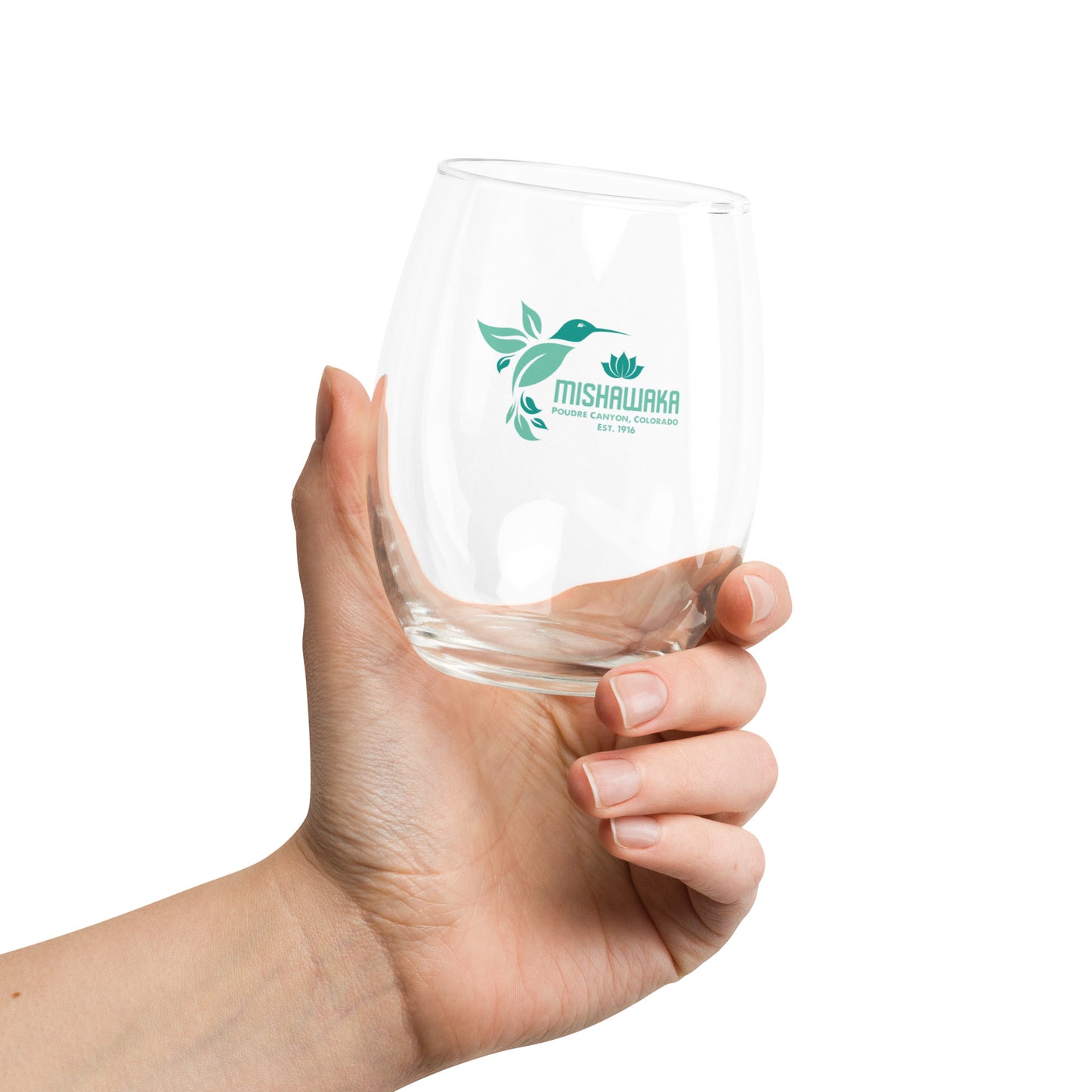 Mishawaka Stemless Wine Glasses