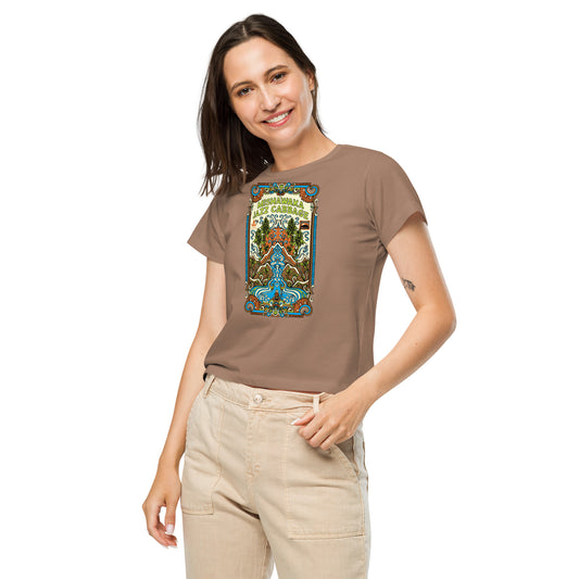 Mishawaka Jazz Cabbage Women’s High-Waisted T-Shirt